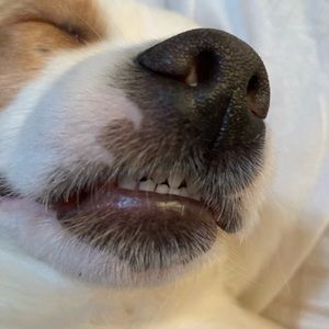 Meet your Posher, Nicki